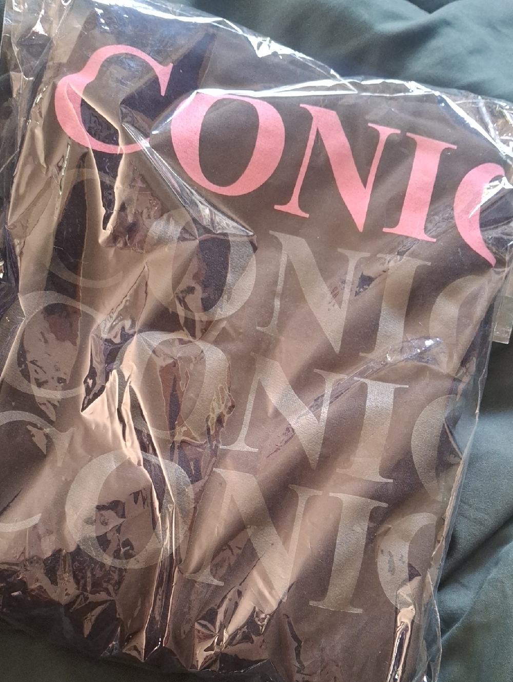 Iconic Small Hoodie